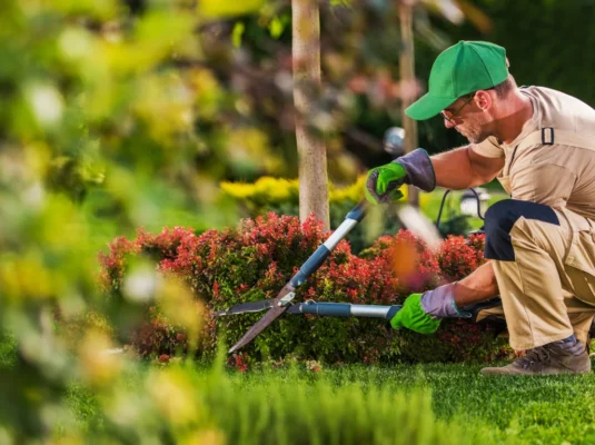 Sustainable Landscaping: Eco-Friendly Tips for Your Yard